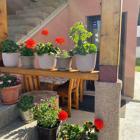 Apartman Kaljevic Lägenhet Žabljak Exteriör bild