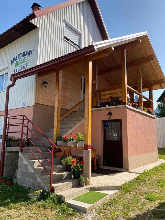 Apartman Kaljevic Lägenhet Žabljak Exteriör bild