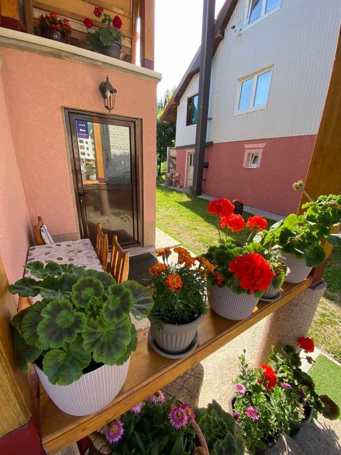 Apartman Kaljevic Lägenhet Žabljak Exteriör bild